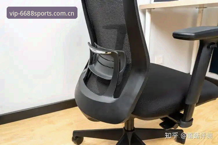 体育手机版下载怎么下载 6688体育平台手机版下载深度评测:从安装到极致体验全流程解析